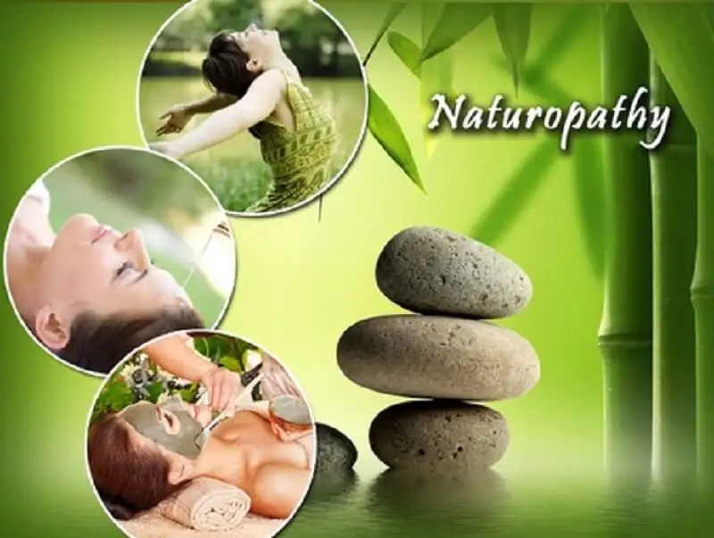 The Significance of Naturopathy: Harnessing the Power of Natural Healing