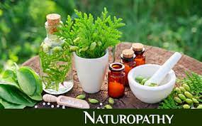 Embracing Nature's Wisdom: Exploring the Profound Benefits of Naturopathy