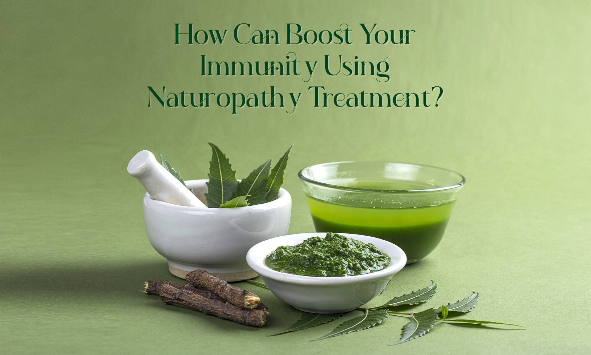 Strengthening Your Immune System Naturally: Naturopathy's Pathway to Optimal Wellness