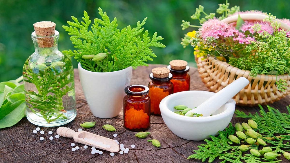 Unveiling the Healing Power of Naturopathy: A Holistic Approach to Health and Wellness